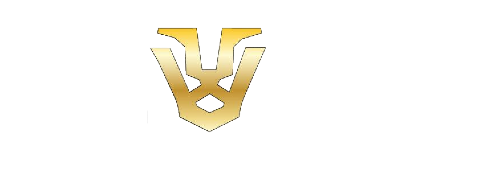 Levion Car Rental