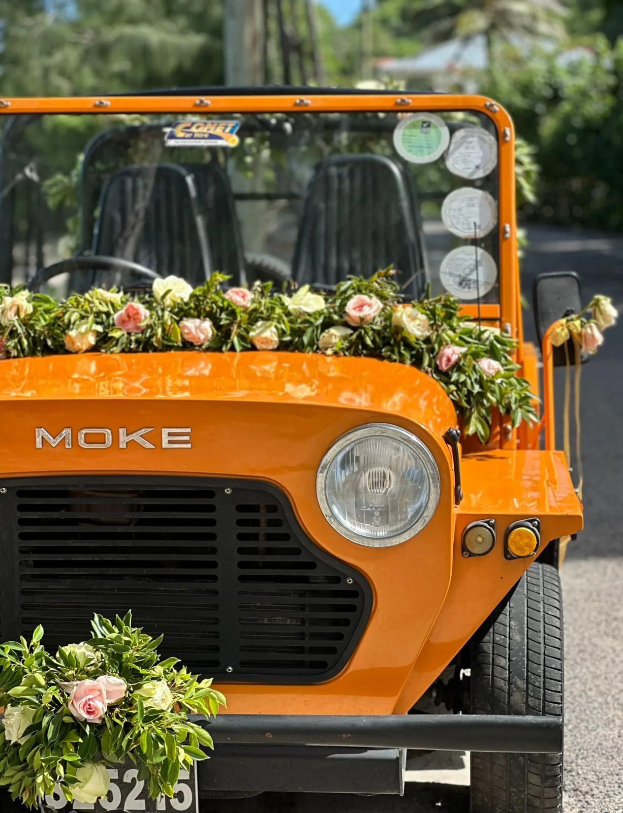 Orange Moke with flowers