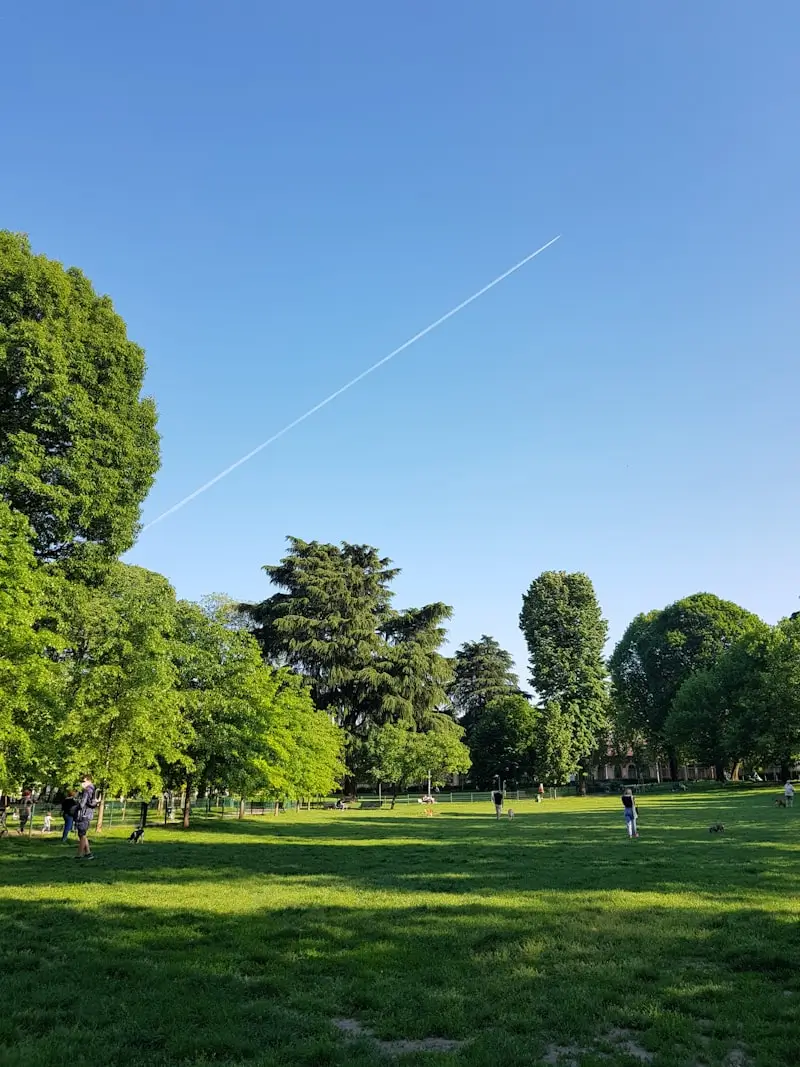 #3 - Hermann Park