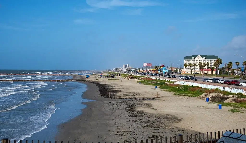 #10 - Galveston Island