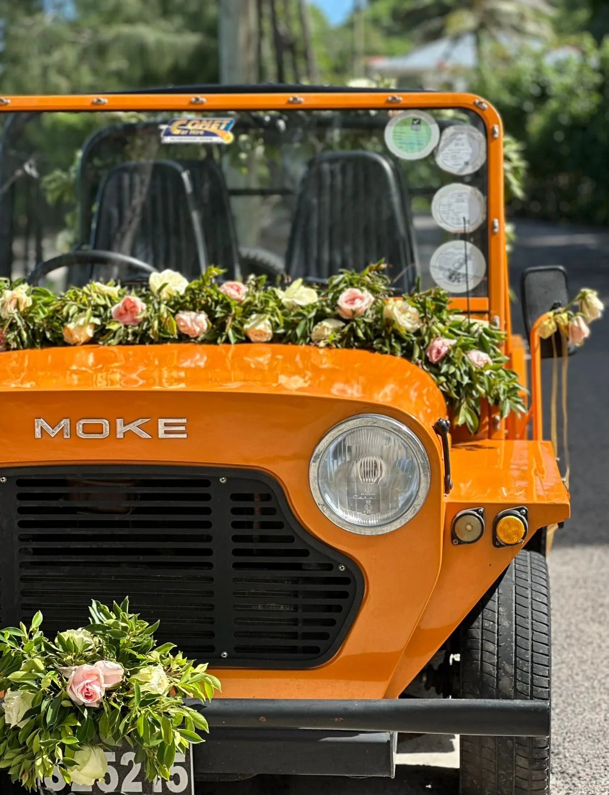 Orange Moke with flowers